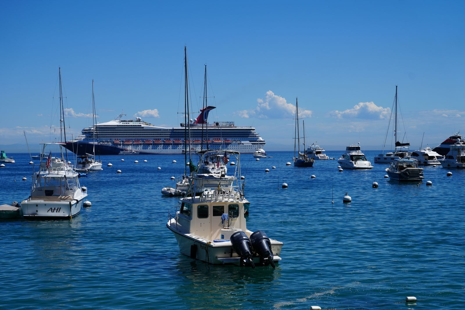 A cruise ship anchored beyond small boats in a sunny harbour, a tender port day to plan with a cruise planning worksheet